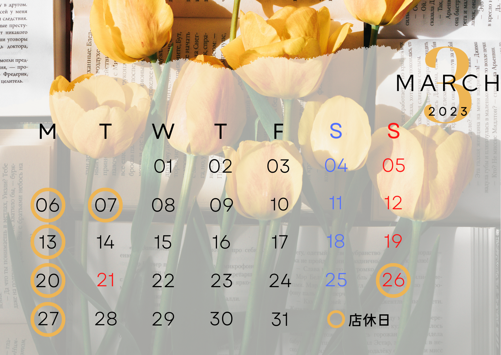 05A662D8-D438-4F6A-A6B1-3C70482690B6.png